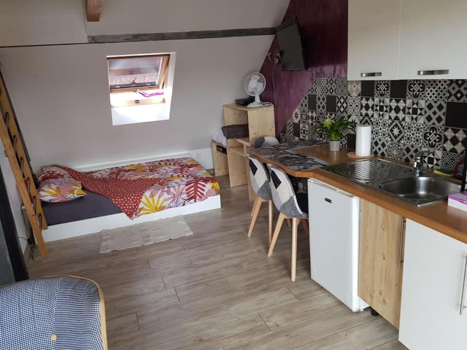 Studios Kry Štrasburk Exteriér fotografie